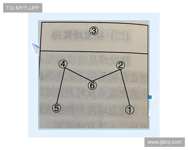 深入分析重庆排球队独特的进攻战术与策略发展